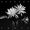 GHOST & ERRORS – teenage prose (Kassette)