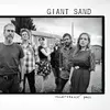 GIANT SAND – heartbreak pass (LP Vinyl)