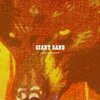 GIANT SAND – purge & slouch (CD)