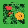 GLITTERER – life is not a lesson (CD, LP Vinyl)
