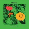 GLITTERER – life is not a lesson (CD, LP Vinyl)