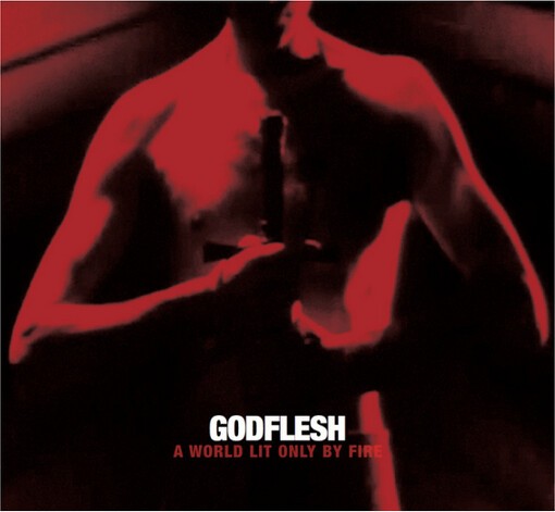 GODFLESH, a world lit only by fire cover