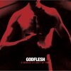 GODFLESH – a world lit only by fire (LP Vinyl)