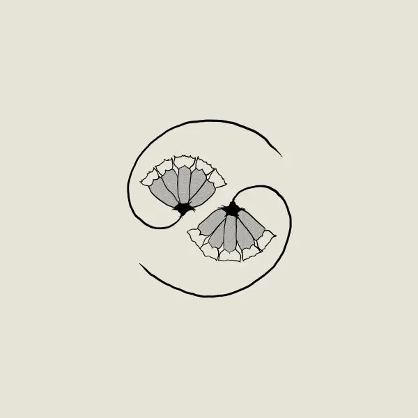 GODSPEED YOU BLACK EMPEROR – g_d´s pee at state´s end (CD, LP Vinyl)