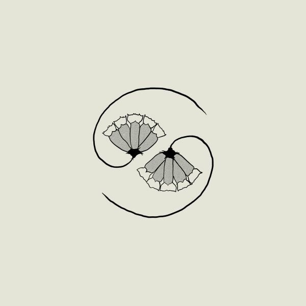 Cover GODSPEED YOU BLACK EMPEROR, g_d´s pee at state´s end