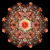 GOLD PANDA – half of where you live (CD)