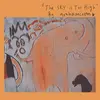 GRAHAM COXON – sky is too high (CD, LP Vinyl)