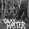 GRAY MATTER – food for thought (re-issue) (LP Vinyl)
