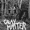 GRAY MATTER – food for thought (re-issue) (LP Vinyl)