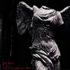 GREY GOOSE – til the medicine takes (CD, LP Vinyl)