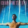 GRIAN CHATTEN – chaos for the fly (CD, LP Vinyl)