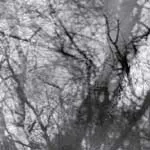 GROUPER – way their crept (CD, LP Vinyl)