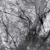 GROUPER – way their crept (CD, LP Vinyl)