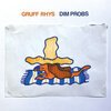 GRUFF RHYS – dim probs (CD, LP Vinyl)