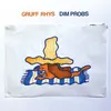 GRUFF RHYS – dim probs (CD, LP Vinyl)