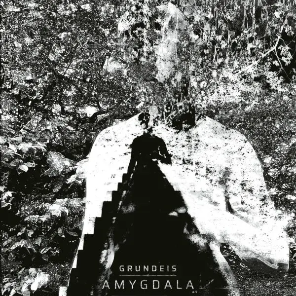GRUNDEIS – amygdala (CD)