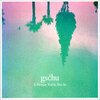 GSCHU – a picture you`re not in (CD)