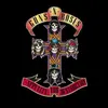 GUNS N´ROSES – appetite for destruction (LP Vinyl)