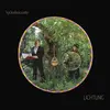 HACKEDEPICCIOTTO – lichtung (CD, LP Vinyl)