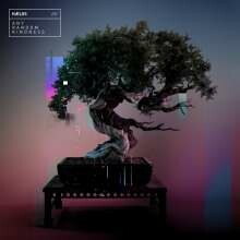 HAELOS – any random kindness (CD, LP Vinyl)