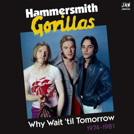 HAMMERSMITH GORILLAS – wait until tomorrow 1974-1981 (LP Vinyl)