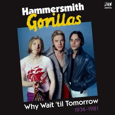 HAMMERSMITH GORILLAS – wait until tomorrow 1974-1981 (LP Vinyl)
