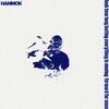 HAMMOK – look how long lasting everything is moving ... (LP Vinyl)