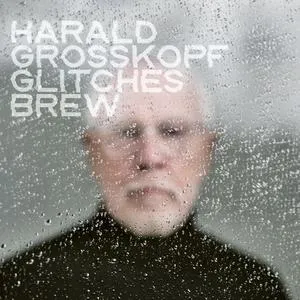 HARALD GROSSKOPF – glitches brew (CD, LP Vinyl)