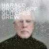 HARALD GROSSKOPF – glitches brew (CD, LP Vinyl)