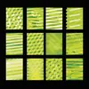 HARD COPY – 12 shots of nature (LP Vinyl)