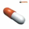 HARMFUL – s/t (LP Vinyl)