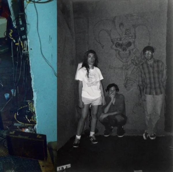 HARRY PUSSY – you´ll never play this town again (LP Vinyl)