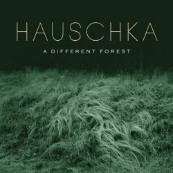 Cover HAUSCHKA, a different forest