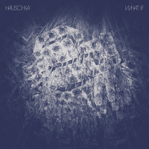 HAUSCHKA, what if cover