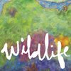HEADLIGHTS – wildlife (CD)