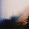 HEATED LAND – forest tapes (LP Vinyl)