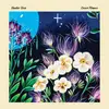 HEATHER TROST – desert flowers (CD, LP Vinyl)