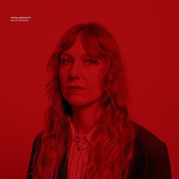 HEDVIG MOLLESTAD TRIO – bees in the bonnet (CD, LP Vinyl)