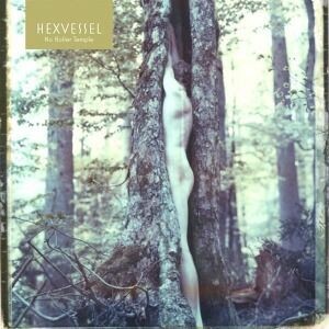 HEXVESSEL – no holier temple (LP Vinyl)