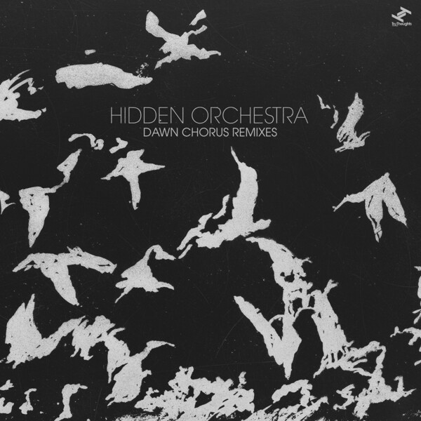 Cover HIDDEN ORCHESTRA, dawn chorus remixes