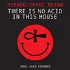 HIEROGLYPHIC BEING – there is no acid in this house (CD, LP Vinyl)