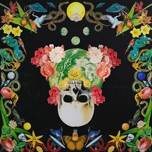 HIPPIE DEATH CULT – helichrysum (CD, LP Vinyl)