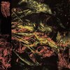 HISSING – permanent destitution (CD, LP Vinyl)