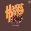 HOKUS POKE – earth harmony (LP Vinyl)