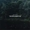 HOLY FAWN – death spells (LP Vinyl)