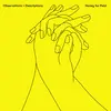 HONEY FOR PETZI – observations + descriptions (CD, LP Vinyl)