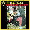 HORACE ANDY – in the light (LP Vinyl)