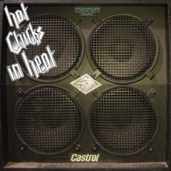 Cover HOT CHICKS IN HEAT, s/t