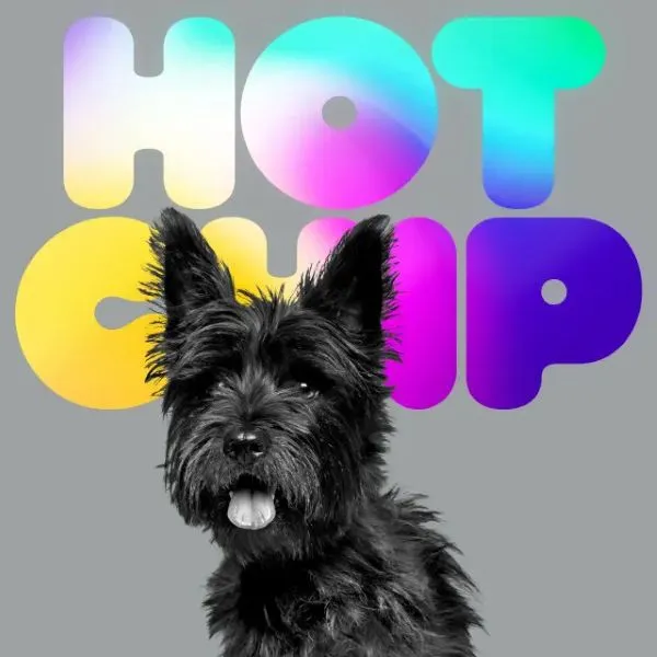 HOT CHIP – a long way from kansas (CD, LP Vinyl)