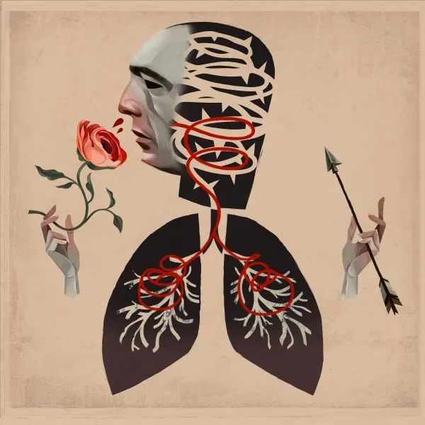 HOT WATER MUSIC – vows (CD)